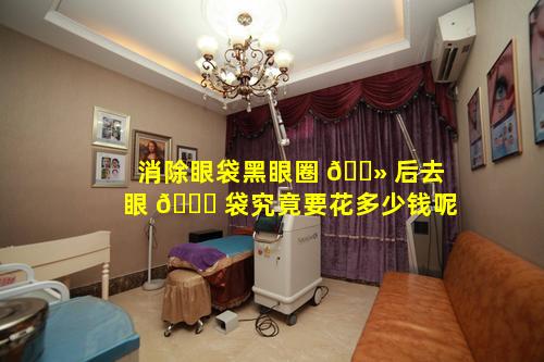消除眼袋黑眼圈 🌻 后去眼 🕊 袋究竟要花多少钱呢